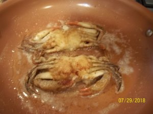 100_7172.JPG