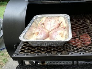 chicken1.jpg chicken1.jpg