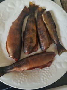 20180804_174349.jpg