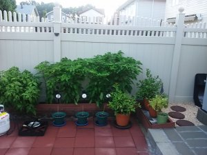 20180809_073001.jpg