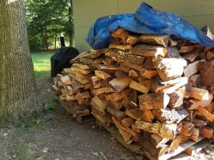 20180710_175052.jpg