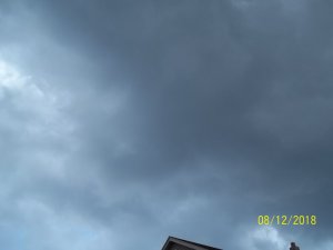 100_7251.JPG 100_7251.JPG