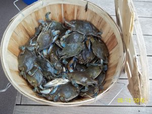 100_7267.JPG
