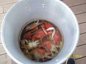 100_7268.JPG