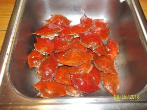 100_7275.JPG