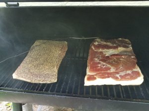 20180817_162102.jpg