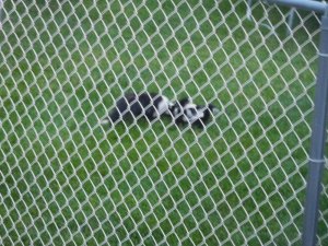 DSCN0540.JPG
