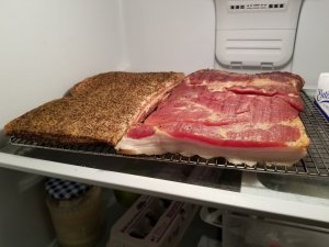 20180818_051535.jpg