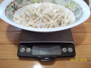 100_7287.JPG 100_7287.JPG