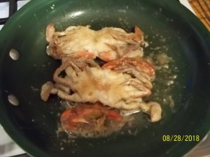100_7392.JPG 100_7392.JPG