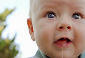 drool3.jpg