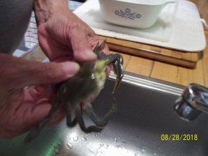 100_7376.JPG
