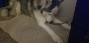 20180905_204530.jpg