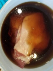 20180911_121237.jpg