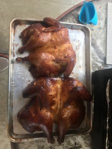 Chicken.jpg