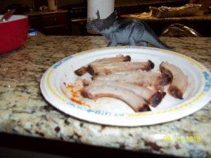 100_7512.JPG 100_7512.JPG