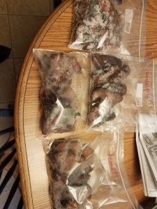 20180918_183642.jpg