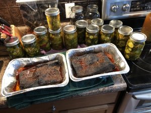IMG_0223.jpg