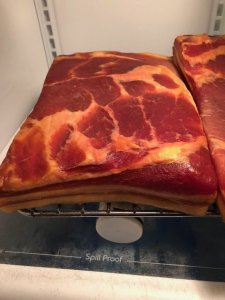 Bacon11.jpg