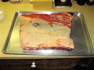 IMG_9231.JPG IMG_9231.JPG