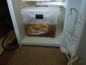 20181031_215244.jpg