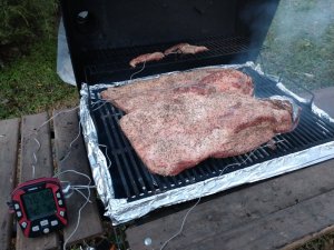 IMG_20181102_075231526.jpg