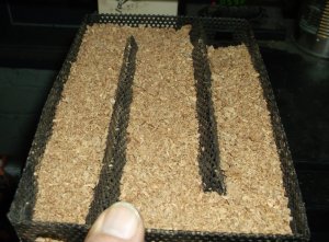 004.JPG 004.JPG