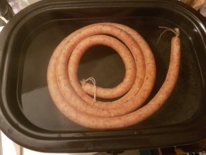 20181104_125354.jpg
