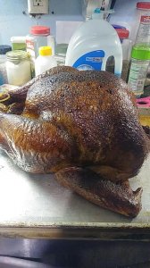 the magnificent turkey.jpg