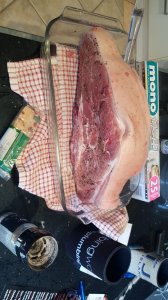 IMG-20181129-WA0000.jpeg