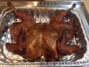 Tksgvg Bird.JPG