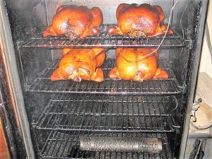 IMG_9384.JPG