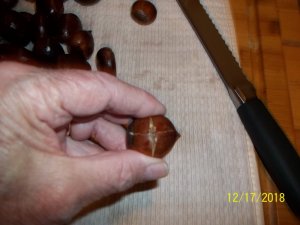 100_7932.JPG