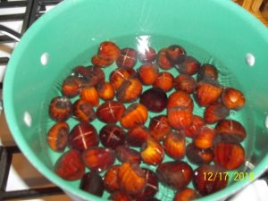 100_7933.JPG 100_7933.JPG