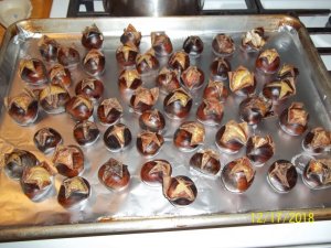 100_7938.JPG 100_7938.JPG