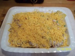 100_7953.JPG 100_7953.JPG