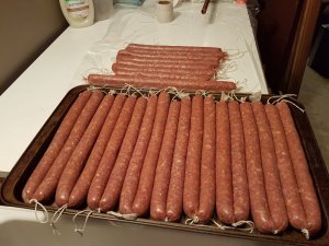 20181228_102535.jpg