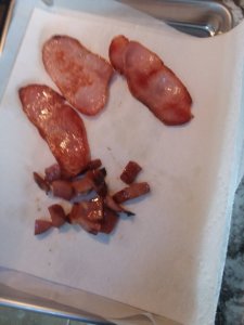 Disco Bacon Samples.jpg