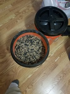 20181229_123919.jpg