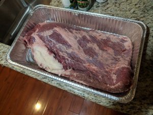 IMG_20190104_230519.jpg
