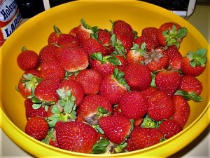 IMG_9480.JPG IMG_9480.JPG