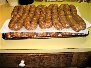 IMG_9506.JPG IMG_9506.JPG