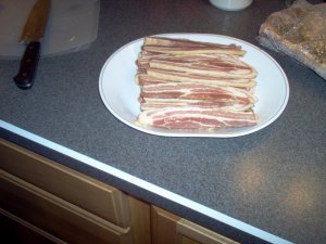 FEB 2019 Bacon 016.JPG