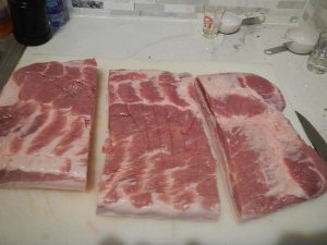 DSCN3179.JPG
