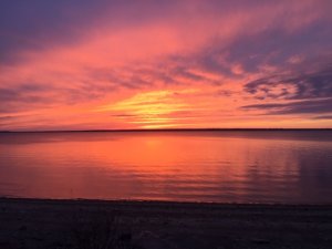 IMG_4002.JPG