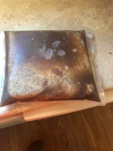 bacon1.jpg