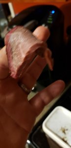 20190323_212307.jpg