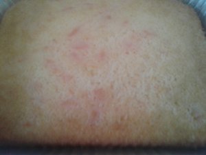 20190407_113446.jpg