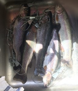 IMG_3333.JPG