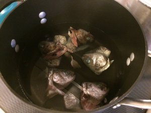 IMG_3334.JPG